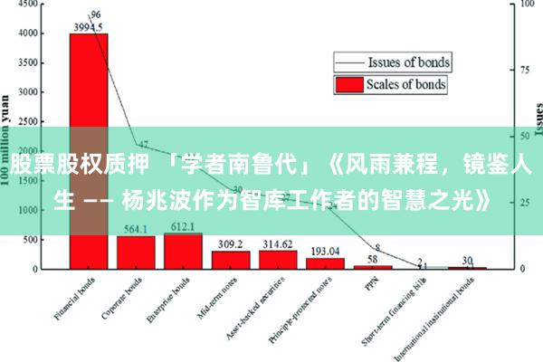 股票股权质押 「学者南鲁代」《风雨兼程，镜鉴人生 —— 杨兆波作为智库工作者的智慧之光》