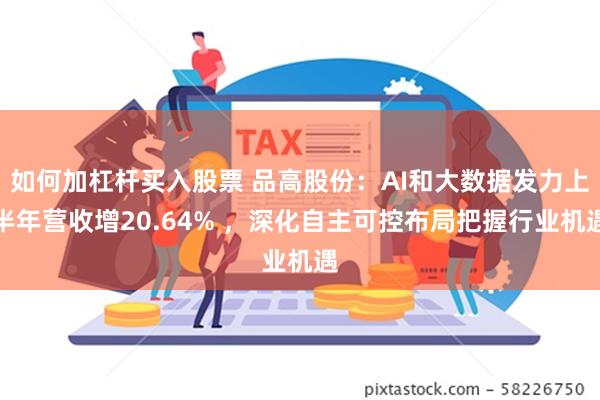 如何加杠杆买入股票 品高股份：AI和大数据发力上半年营收增20.64% ，深化自主可控布局把握行业机遇