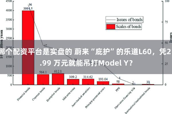 哪个配资平台是实盘的 蔚来“庇护”的乐道L60，凭21.99 万元就能吊打Model Y？