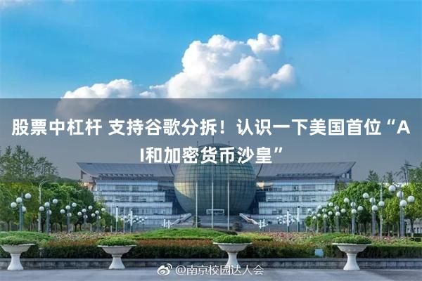 股票中杠杆 支持谷歌分拆！认识一下美国首位“AI和加密货币沙皇”