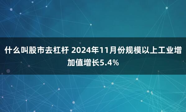 什么叫股市去杠杆 2024年11月份规模以上工业增加值增长5.4%