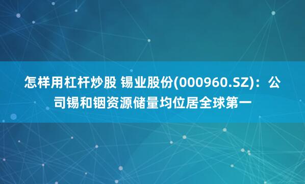 怎样用杠杆炒股 锡业股份(000960.SZ)：公司锡和铟资源储量均位居全球第一